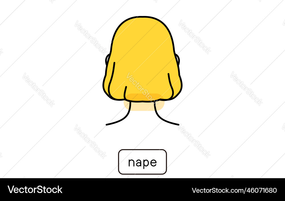 Hair removal clip art for women part by nape Hair removal clip art for women part by nape vector image