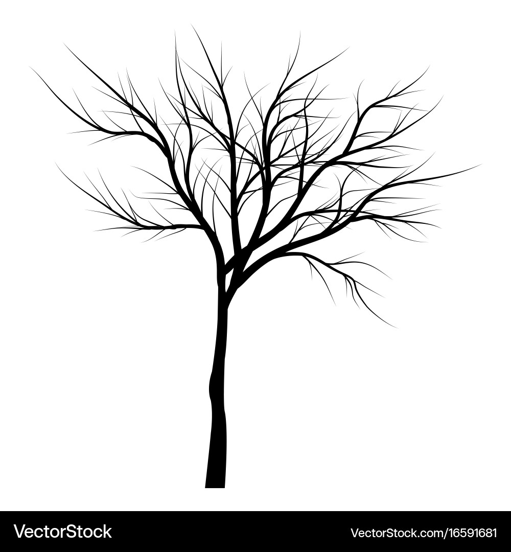 Trees with dead branches Vector Image