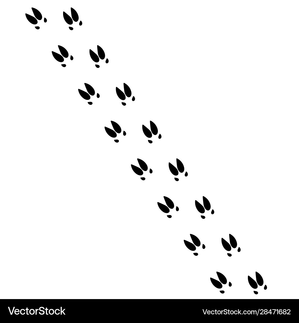 Pig Paw Print Icon Vector Image