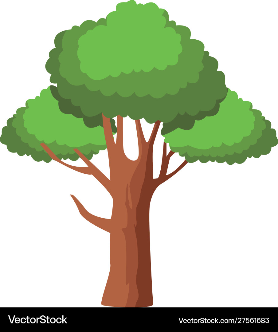 Tree icon image colorful design Vector Image
