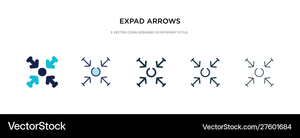 Expad arrows icon in different style two colored Vector Image