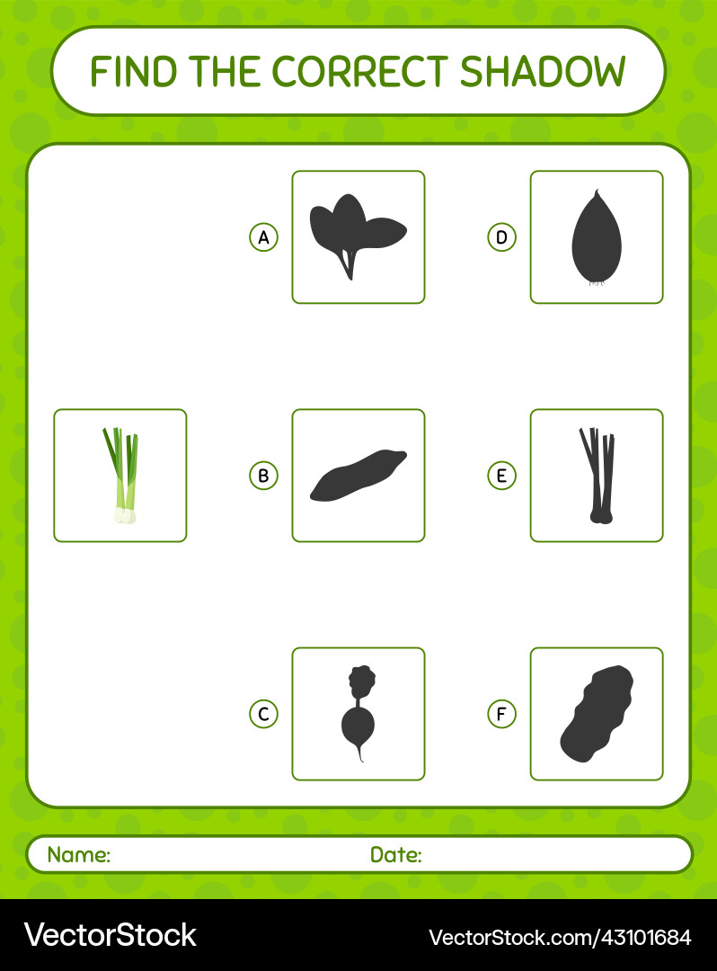 Find the correct shadows game with spring onion Find the correct shadows game with spring onion Vector Image