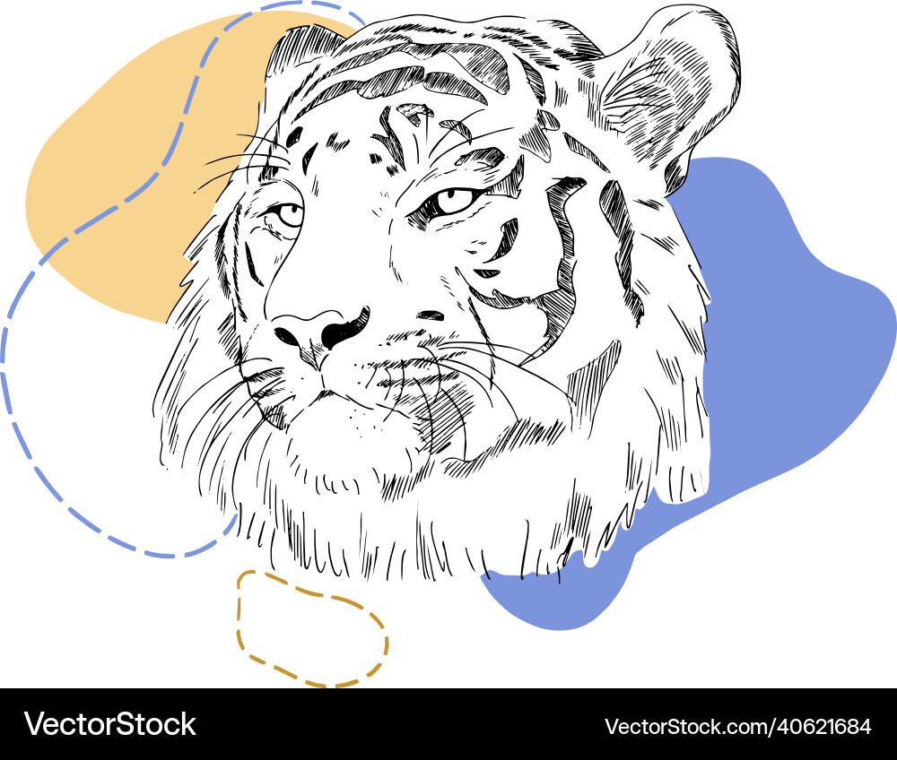 Tiger Sketch with Abstract Elements Vector Image
