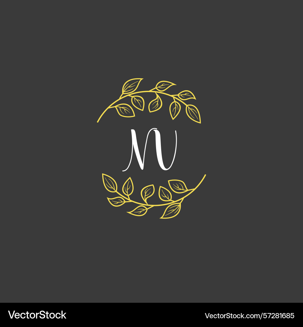 Botanical monogram logos with initial nv Botanical monogram logos with initial nv Vector Image
