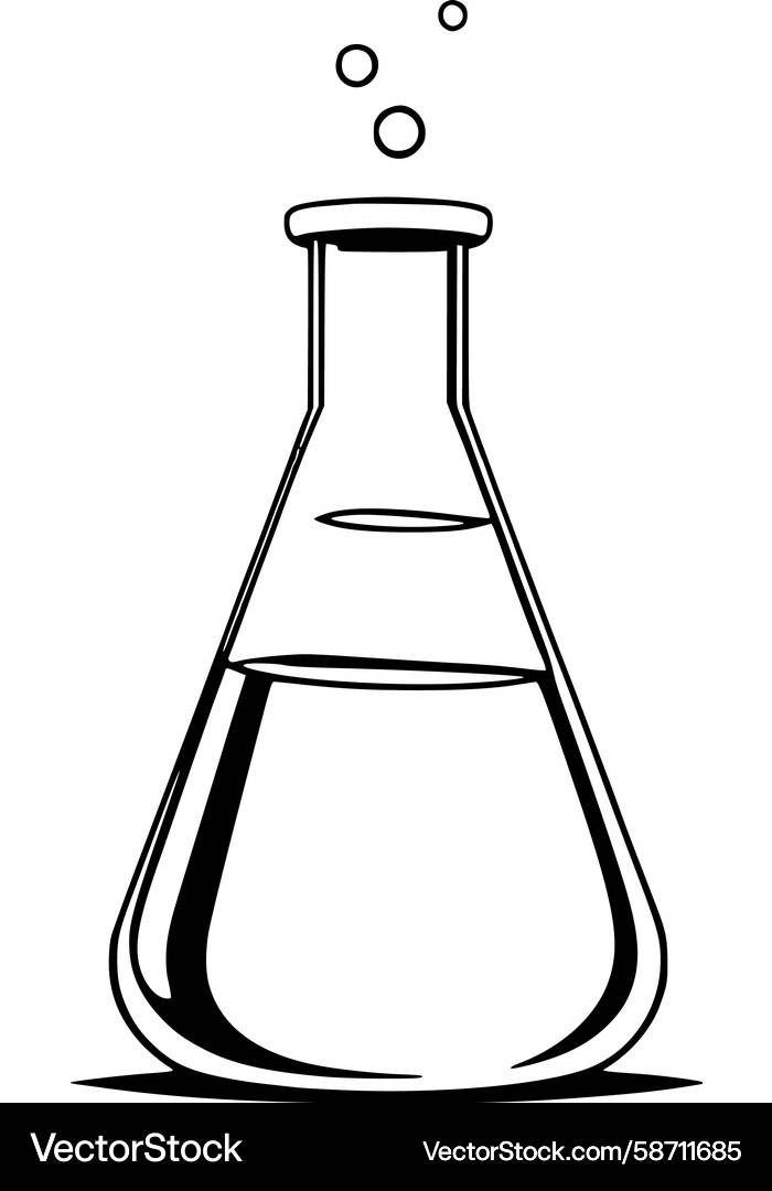 Erlenmeyer flask with bubbles Vector Image