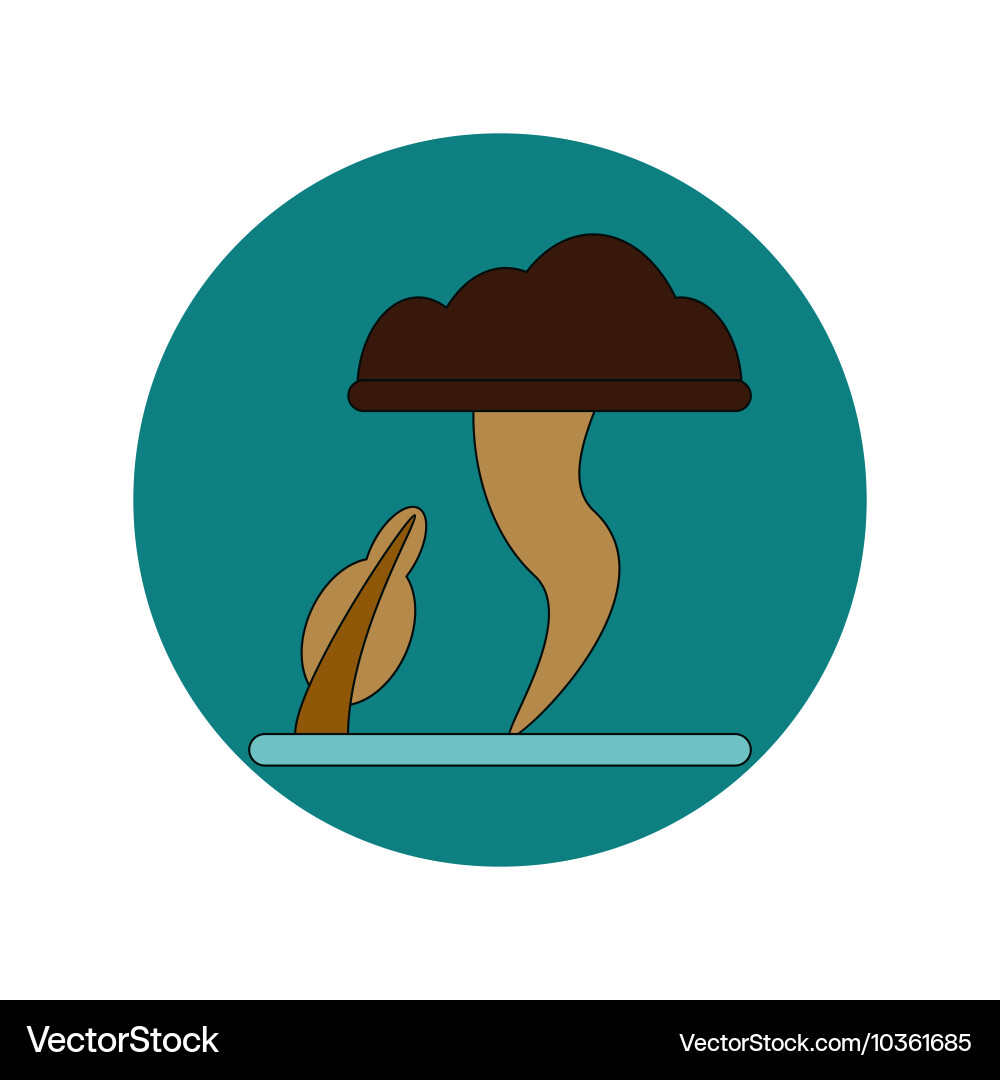 In flat design of tornado vector image