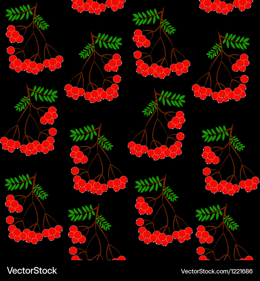 Seamless pattern background with rowanberrys Vector Image