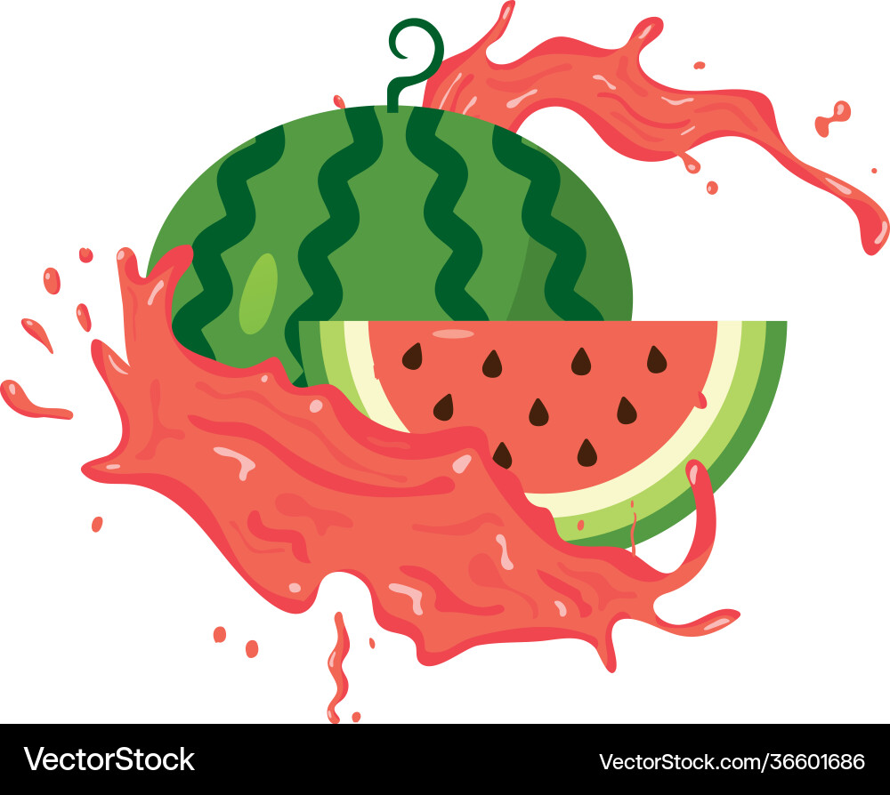 Watermelon Splat Watermelon fruit splash Royalty Free Vector Image