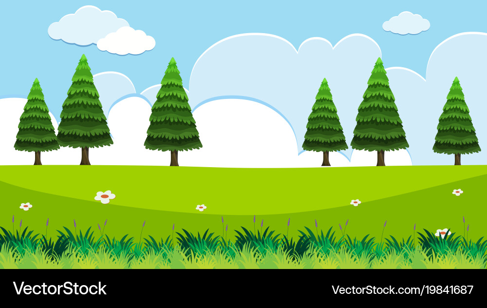 Background scene with pine trees in field Vector Image