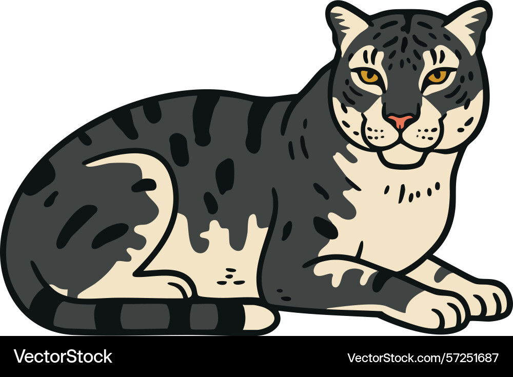 Clouded leopard resting with detailed fur pattern Vector Image