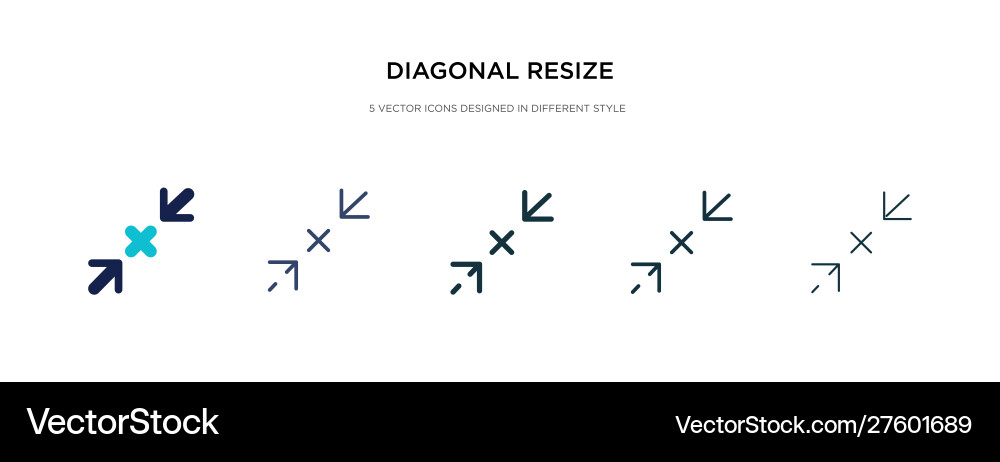 Diagonal resize icon in different style two vector image