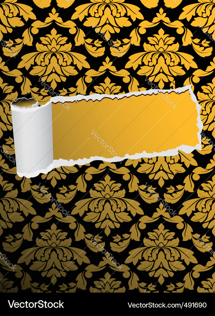 Damask Tearing Background with Hole Vector Image