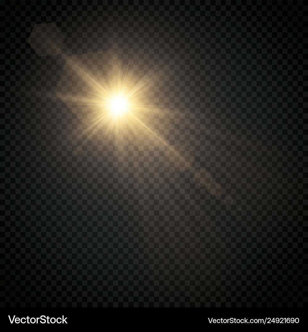 Transparentes Sonnenlicht Speziallinsen-Flack Transparentes Sonnenlicht Speziallinsen-Flack vektorbild
