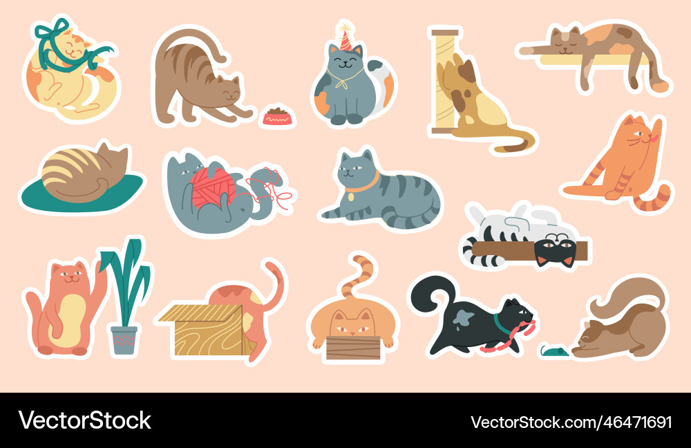 Cats stickers set Cats stickers set vector image