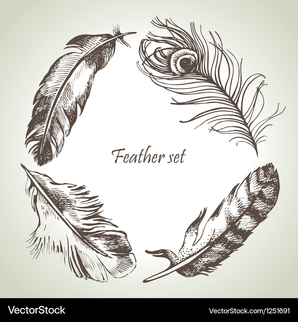 Feather set hand drawn Royalty Free Vector Image