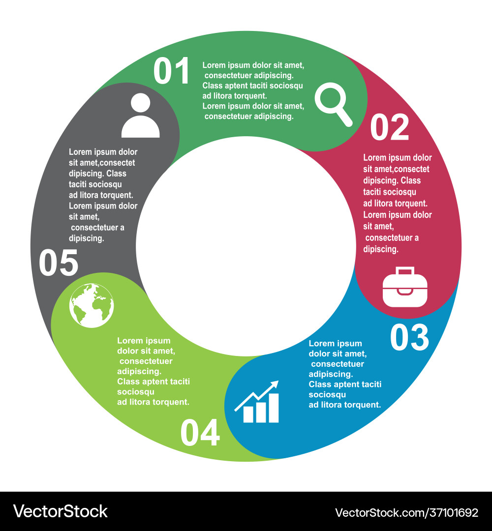 5 steps element in five colors with labels 5 steps element in five colors with labels vector image