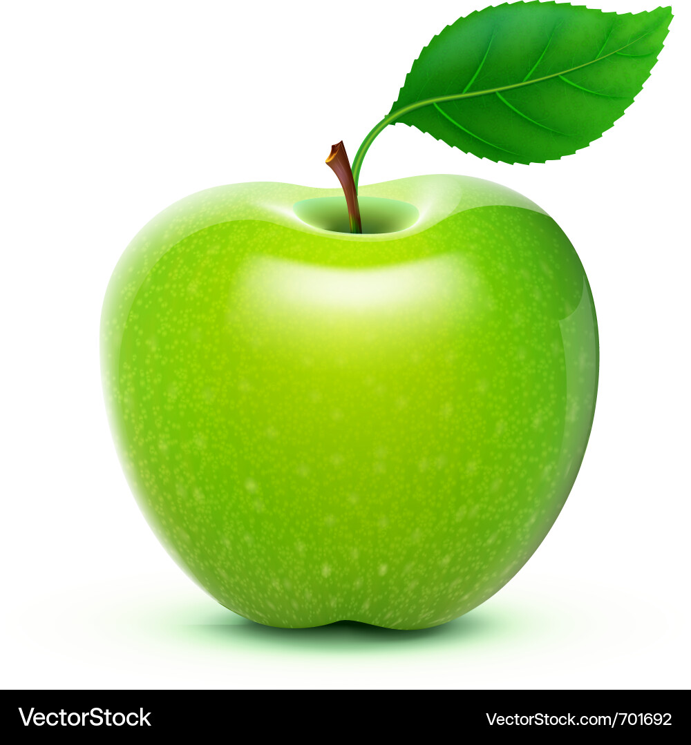 Green apple vector image