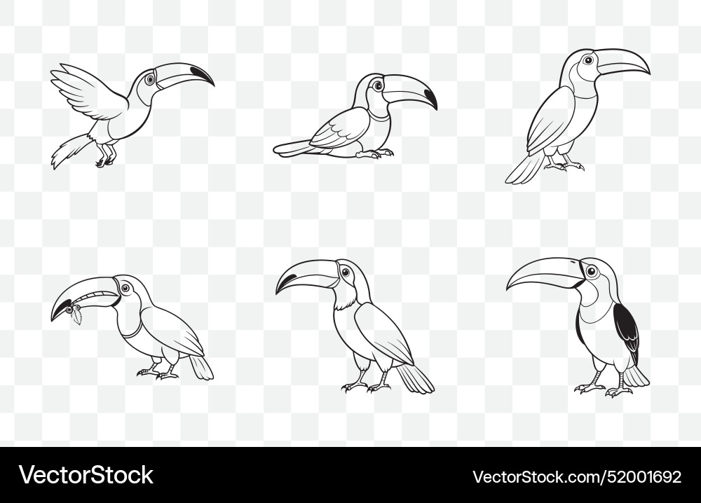 Print elegant toucan line art set Vector Image