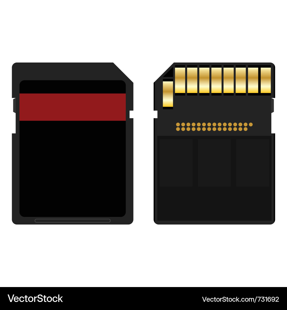 Secure digital memory card vector image