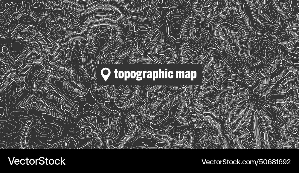 Topographic map with contour lines geographic Topographic map with contour lines geographic vector image