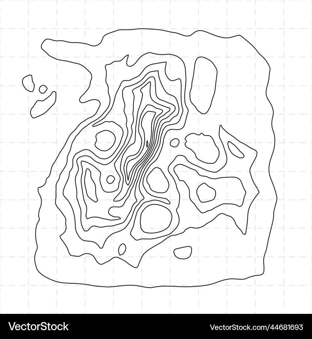 Design element topography levels map vector image