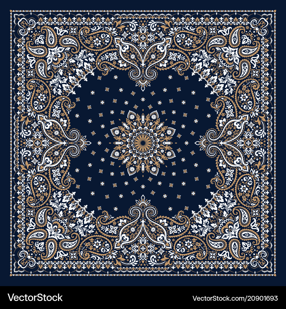 Paisley Bandana Print vector image