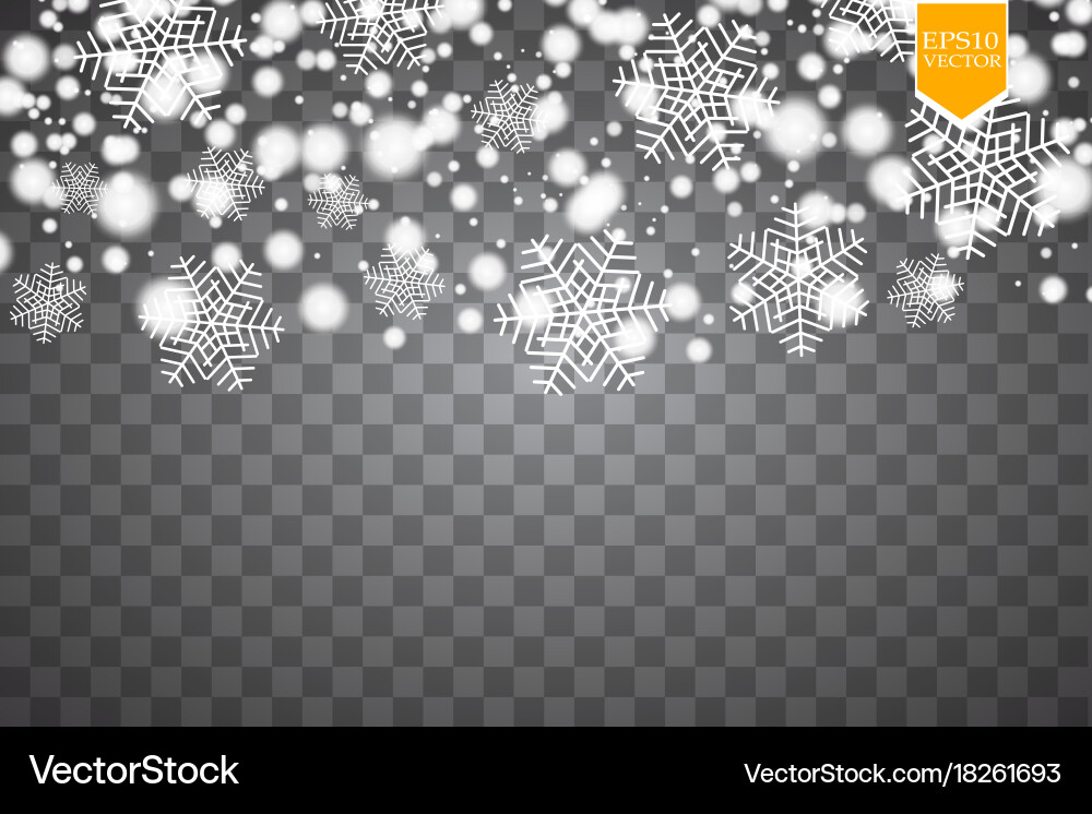 Snowfall Effect Transparent Background vector image