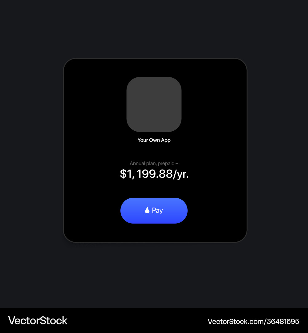 App payment template ui interface App payment template ui interface vector image