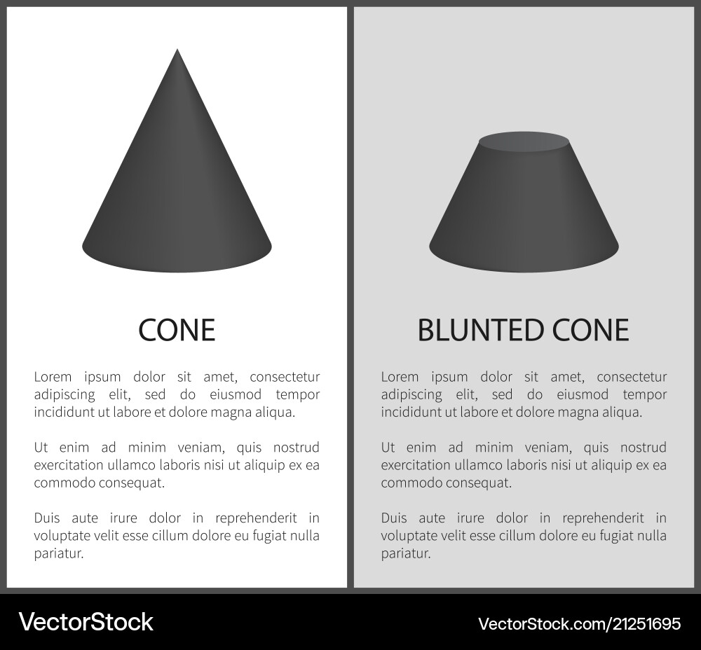 Cone and blunted set Vector Image