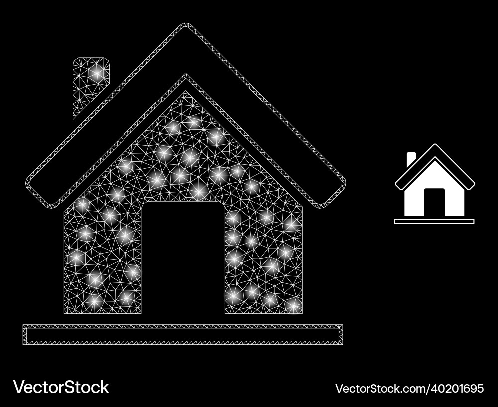 Mesh web home with magic network dots Mesh web home with magic network dots vector image