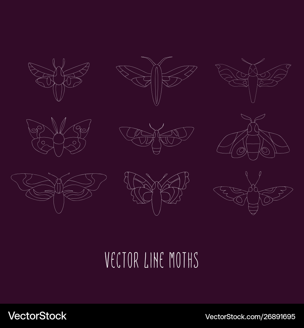 Moth collection linear icons set Moth collection linear icons set vector image
