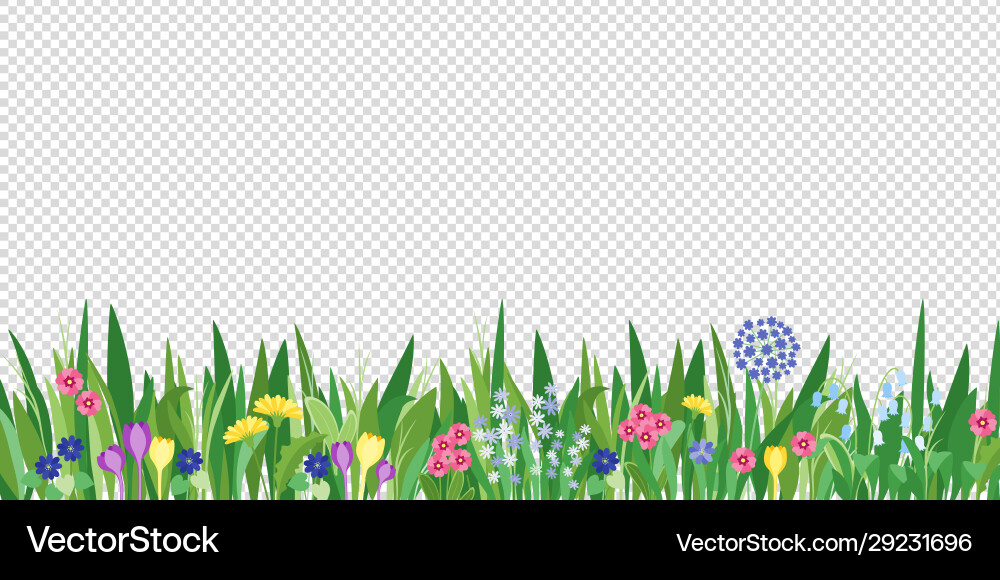 Frühling Garten Gras und Blumen Rand Cartoon Vektorbild
