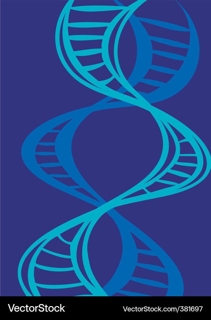 DNA Helix Structure Vector Image