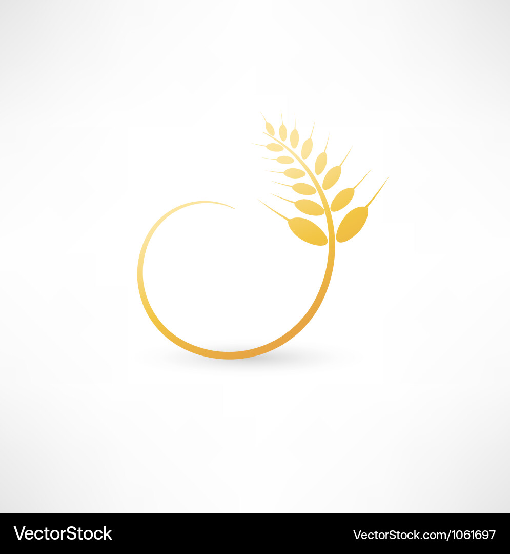 Wheat ears icon Royalty Free Vector Image - VectorStock