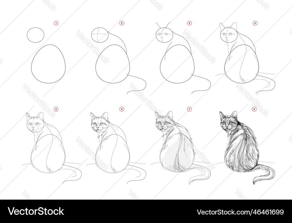 Page shows how to learn draw sketch a sitting vector image
