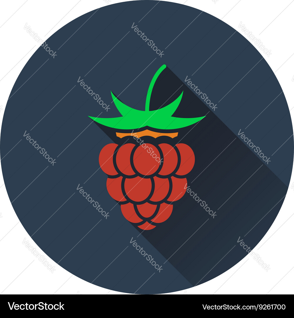 Raspberry icon vector image