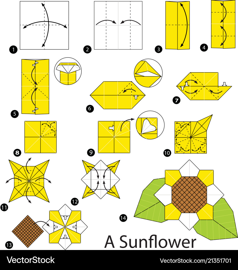Step Instructions How To Make Origami A Sunflower Vector Image
