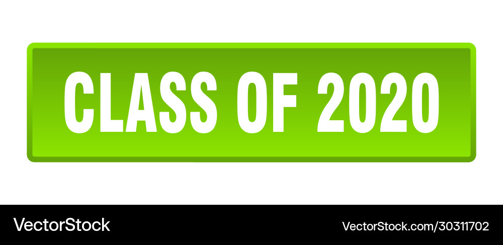 Class 2020 button square green vector image