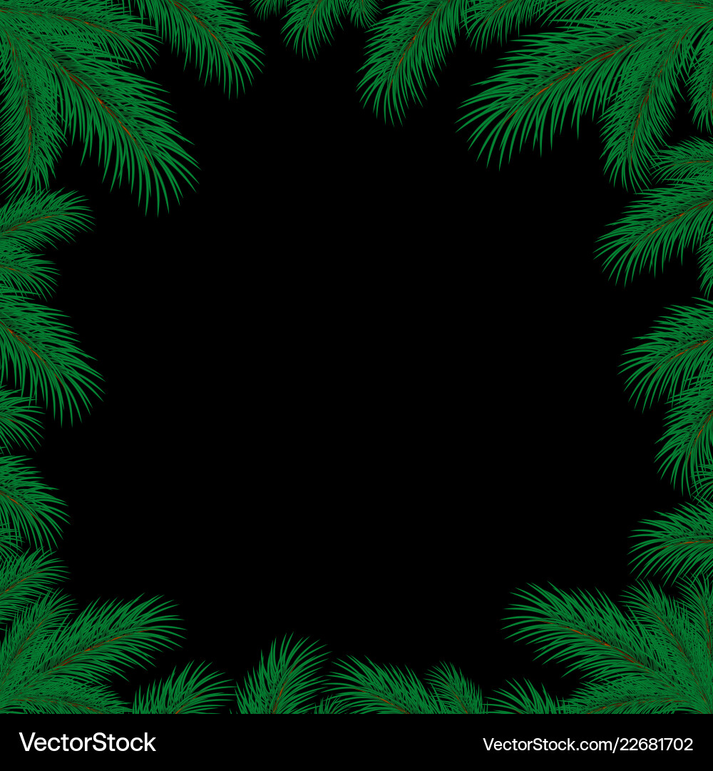 Frame with spruce branches vector image