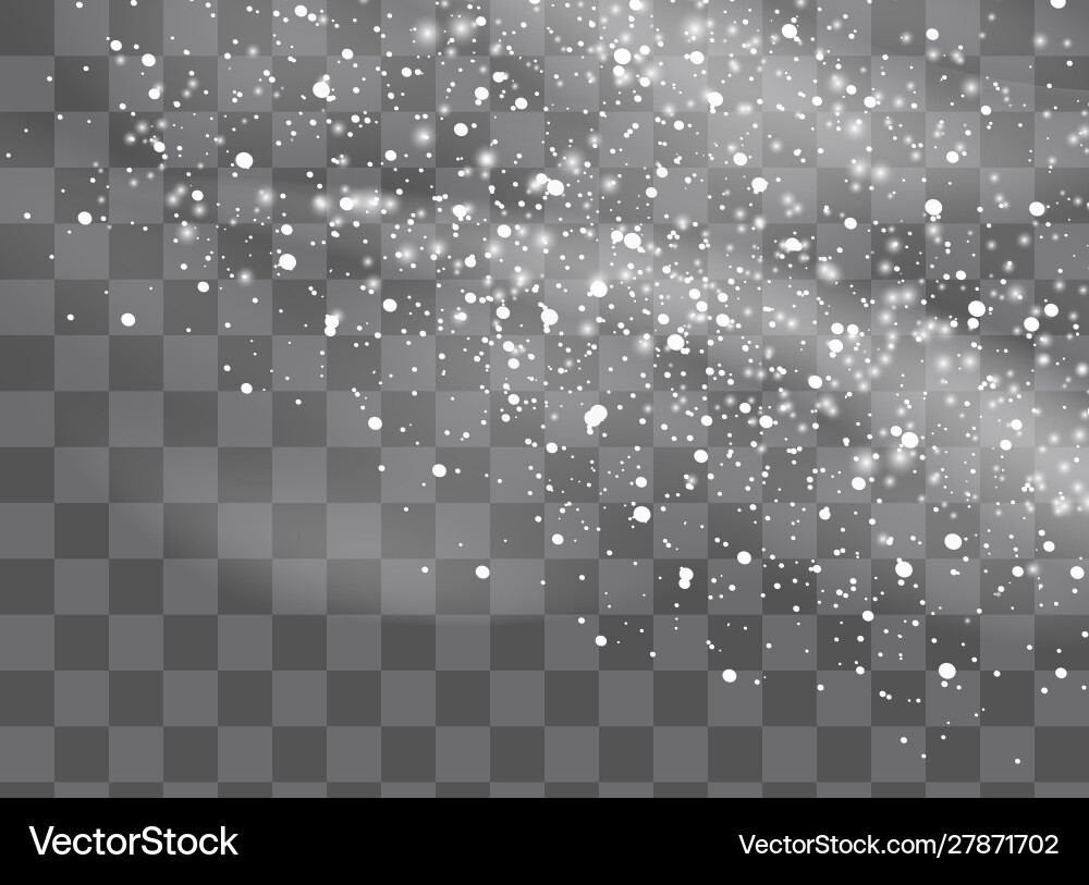 Snowfall snowflakes in different shapes and forms vector image
