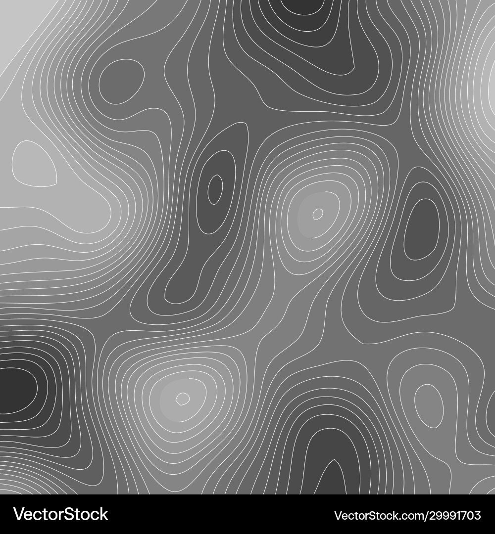 Abstract background with topography style design vector image