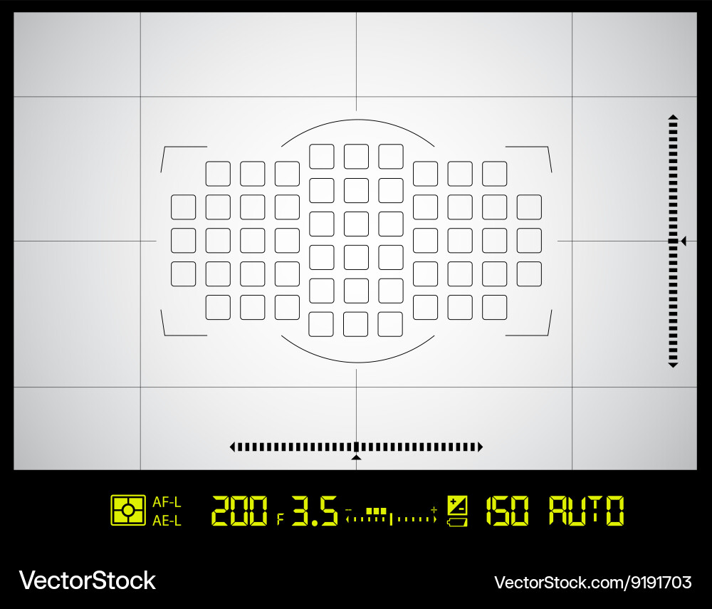 Camera Viewfinder Grid vector image