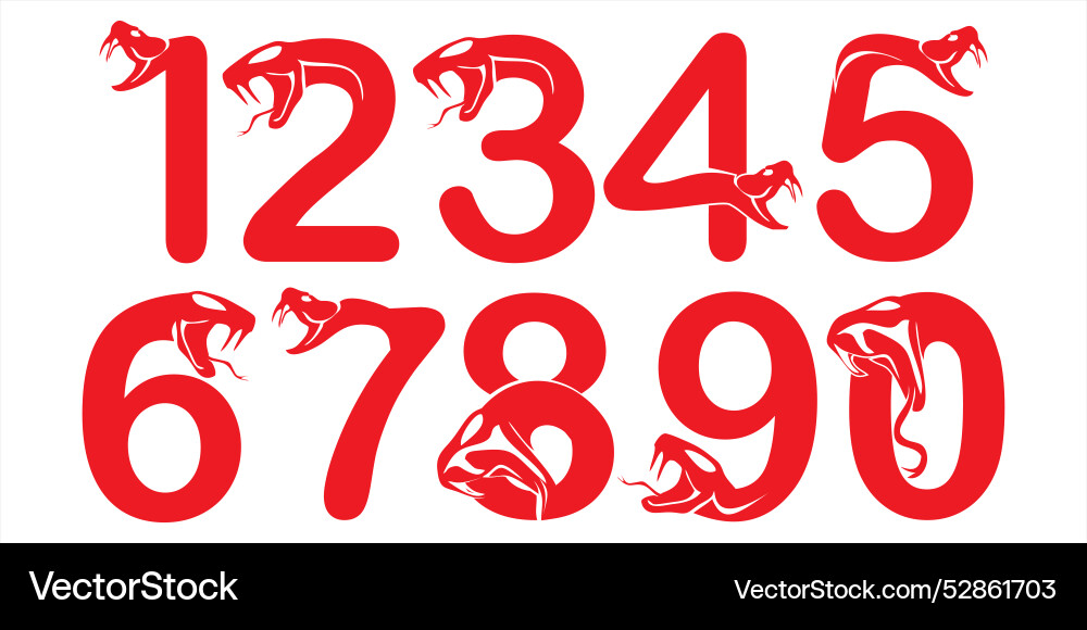 Number sets up to premium custom with snake Vector Image