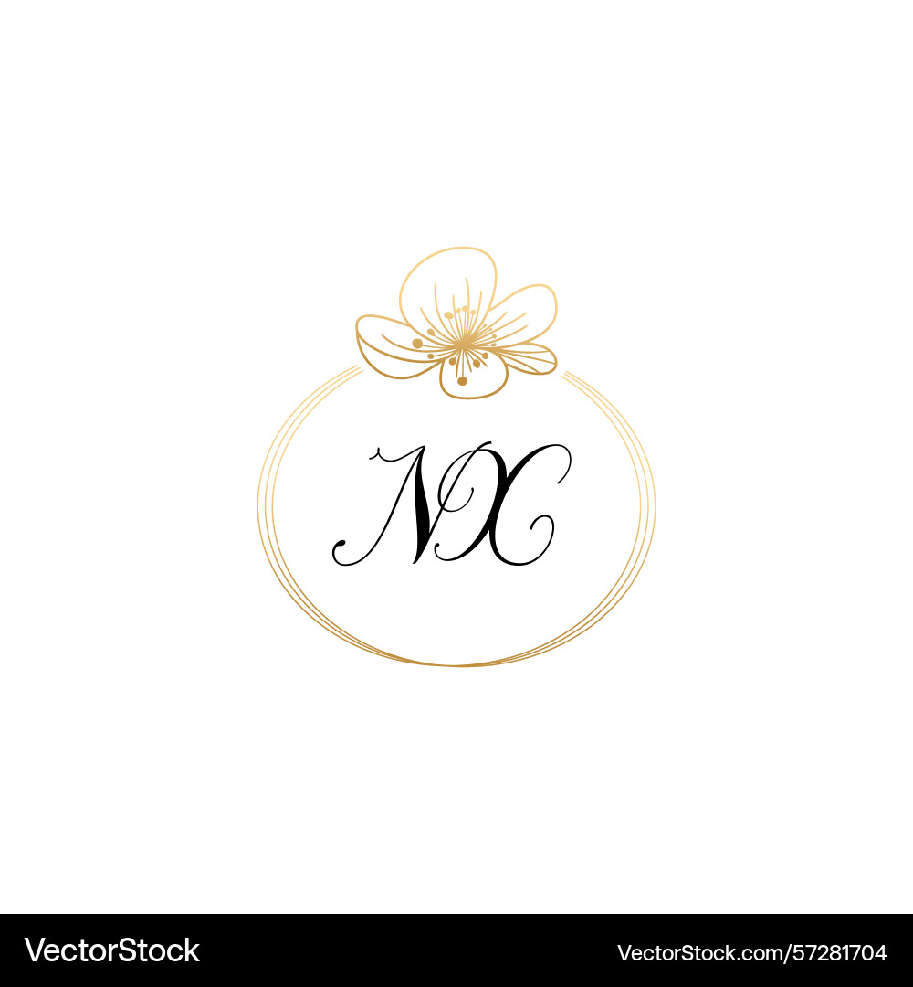 Botanical monogram logos with initial nx Botanical monogram logos with initial nx Vector Image