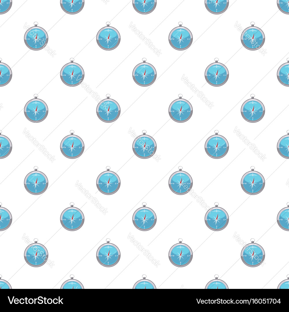 Compass pattern vector image