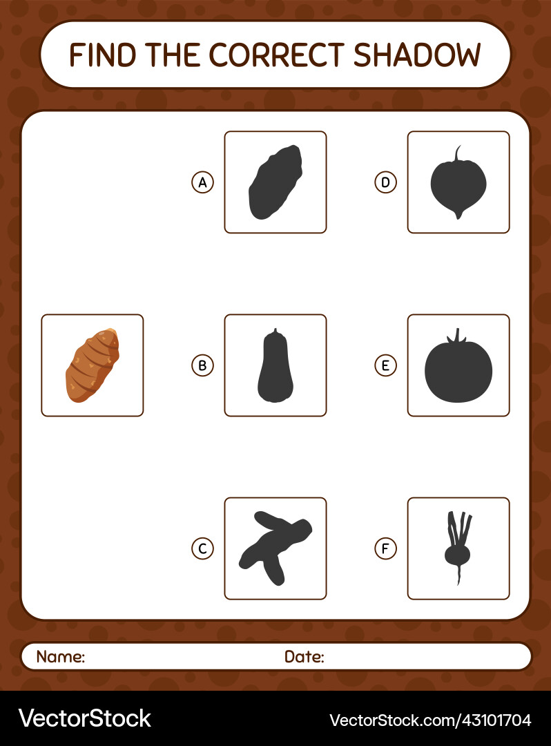 Find the correct shadows game with taro root Find the correct shadows game with taro root vector image