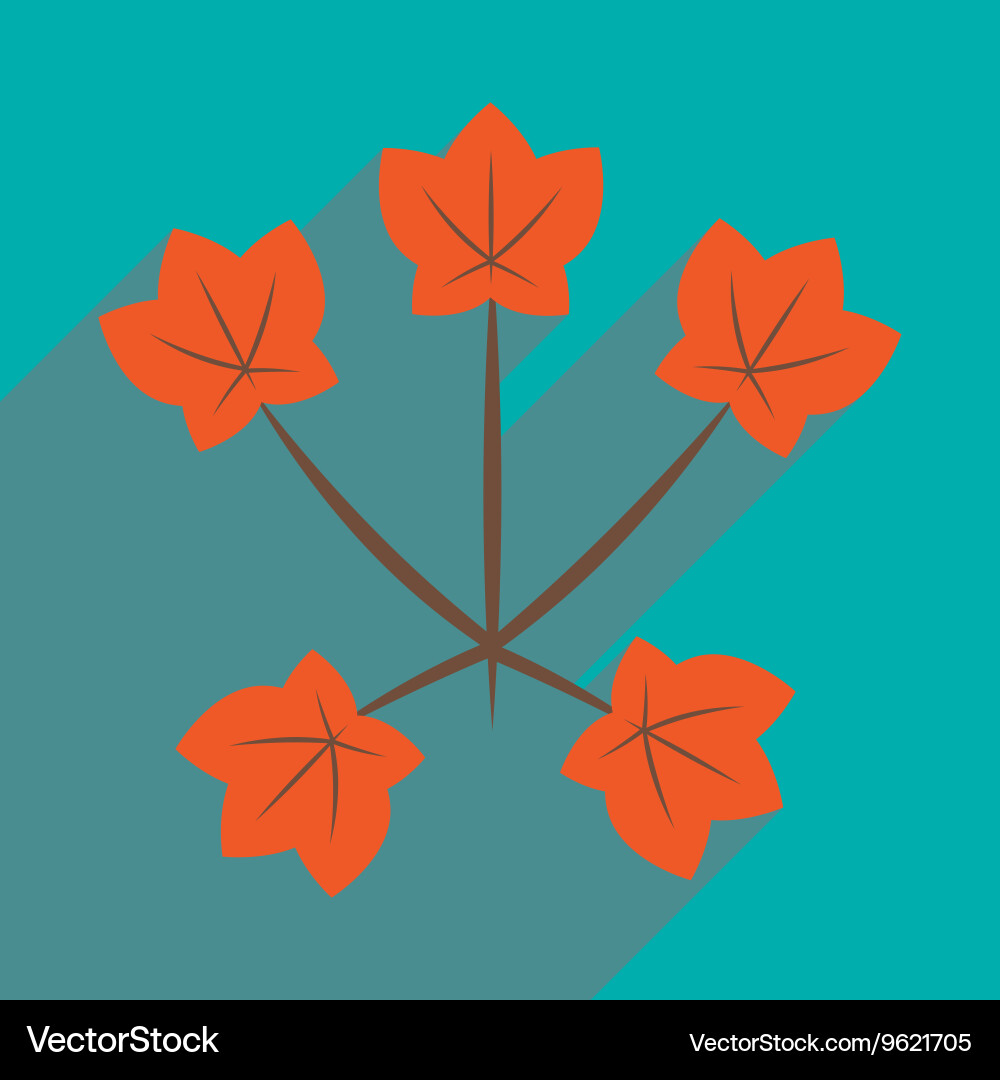 Flat with shadow icon and mobile application maple vector image