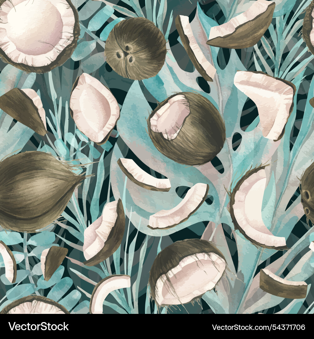 Coconuts of different shapes whole and broken Vector Image