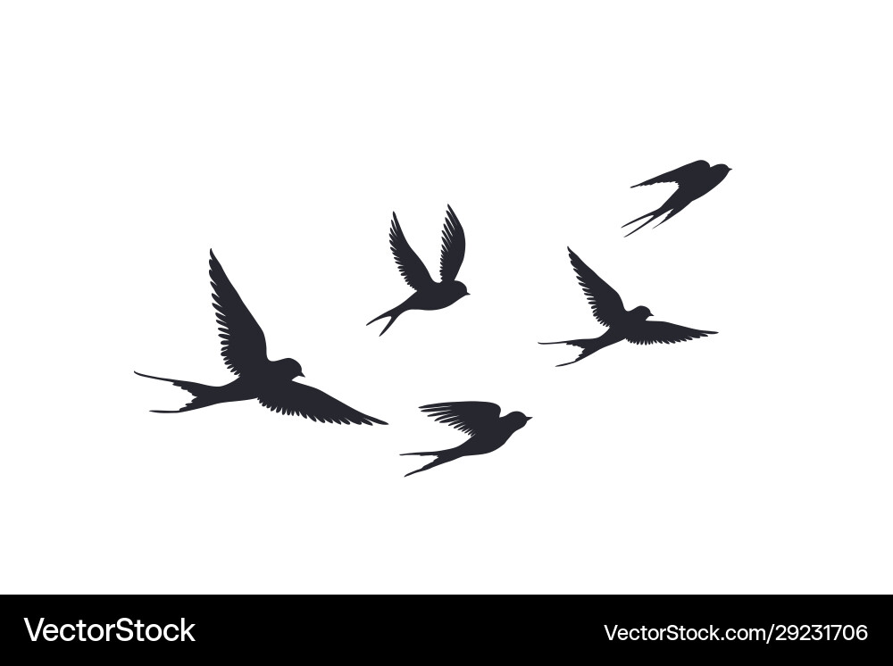 Flying birds silhouette on white background Flying birds silhouette on white background vector image