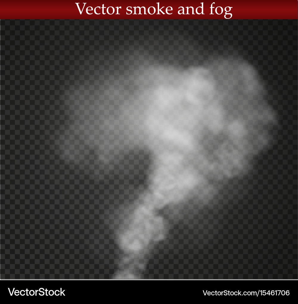 Fog or smoke isolated transparent special effect Vector Image